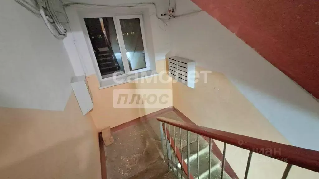 2-к кв. Пензенская область, Пенза ул. Толстого, 10 (42.7 м) - Фото 2