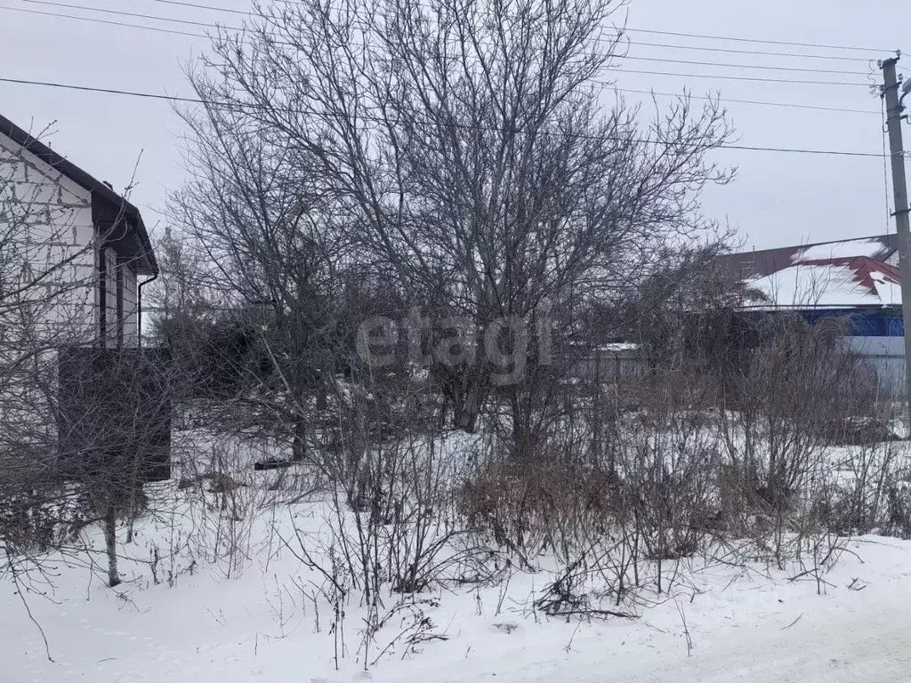 Участок в Белгородская область, Алексеевка ул. 7 Ноября, 31 (10.8 ... - Фото 2