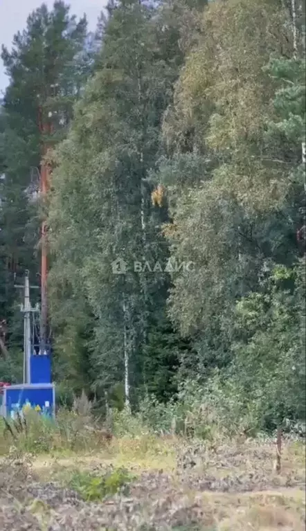 Участок в Ленинградская область, Всеволожский район, Бугровское ... - Фото 2