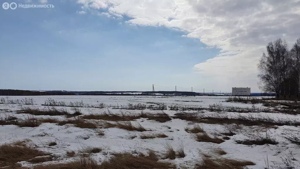 Участок в Нижегородская область, Лысковский муниципальный округ, . - Фото 0