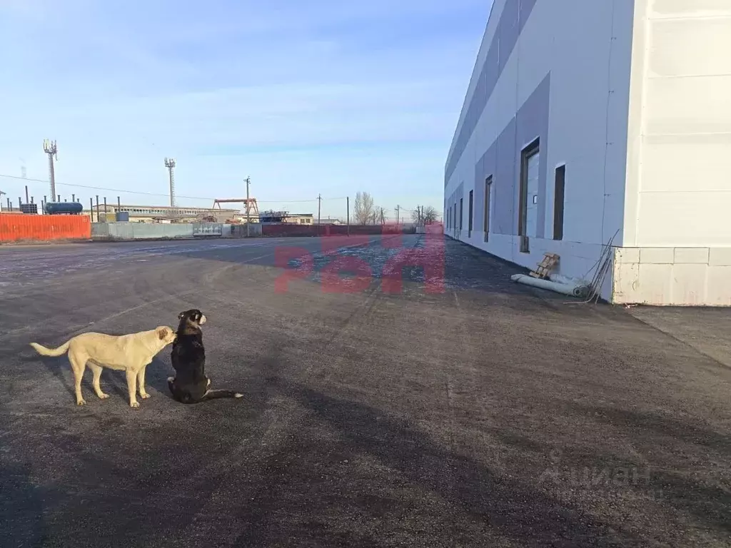 Склад в Самарская область, Волжский район, с. Лопатино ул. Мира, 16 ... - Фото 2