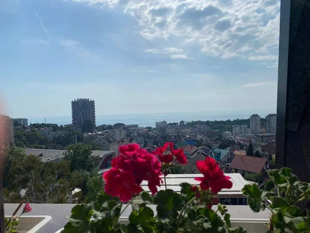 1-к кв. Краснодарский край, Сочи Виноградная ул., 55/1 (31.0 м) - Фото 1