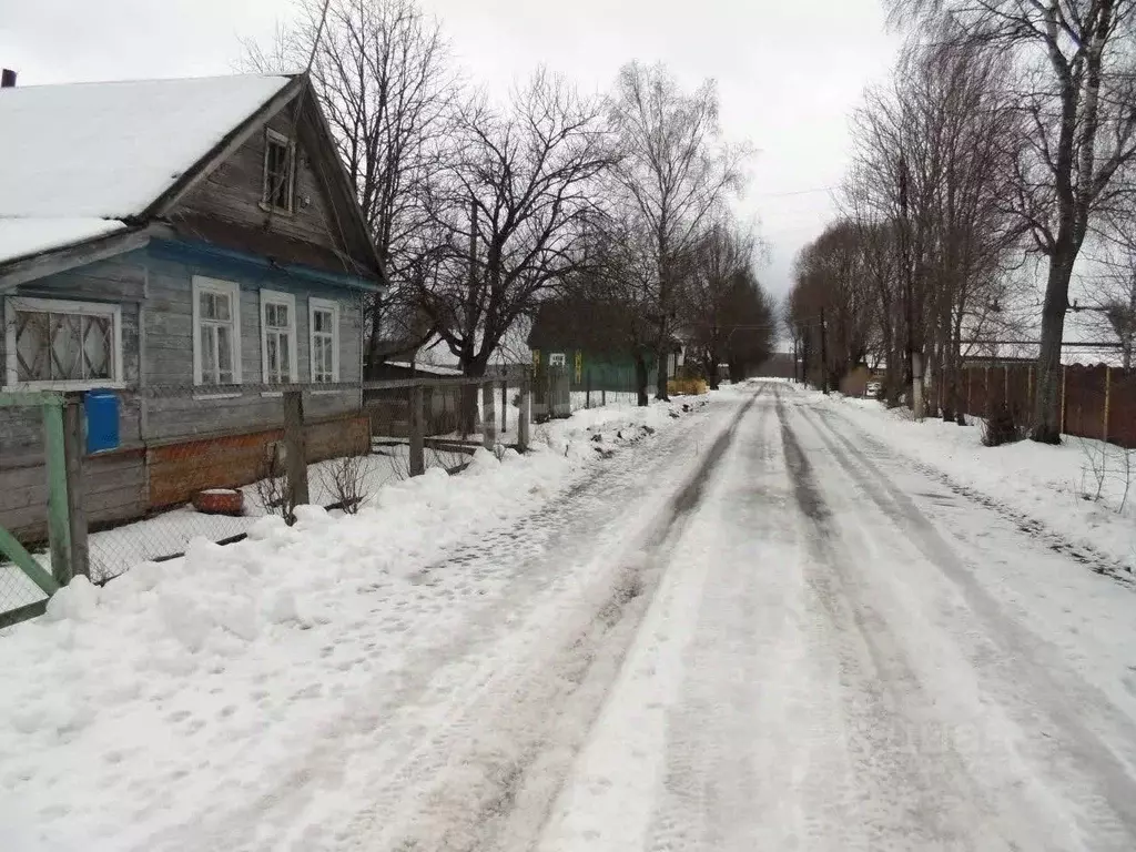 Дом в Тверская область, Нелидовский городской округ, д. Борисово  (55 ... - Фото 0