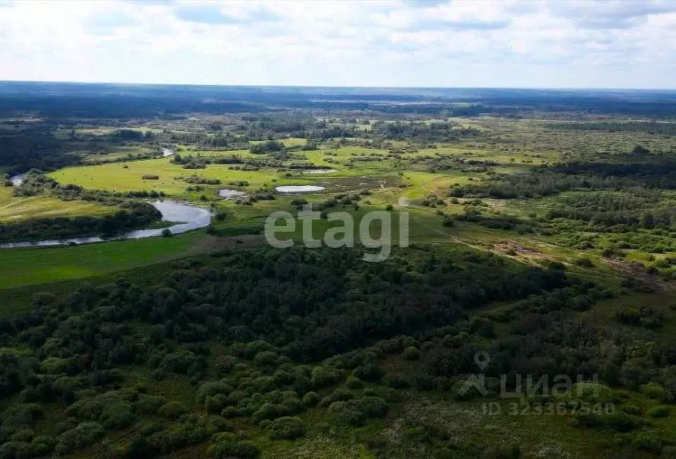 Участок в Свердловская область, Тугулымский муниципальный округ, ... - Фото 1