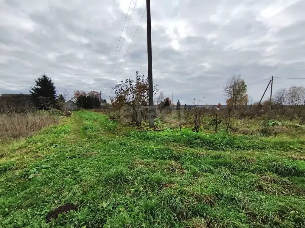 Участок в Ленинградская область, Киришский район, Глажевское с/пос, ... - Фото 1