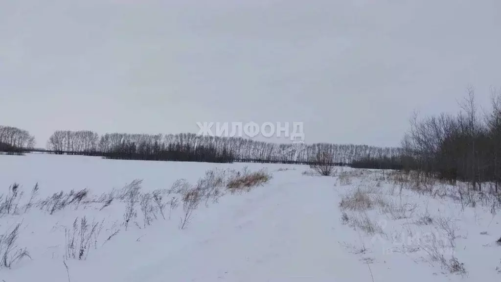 Участок в Новосибирская область, Обь тракт Омский (500.0 сот.) - Фото 0