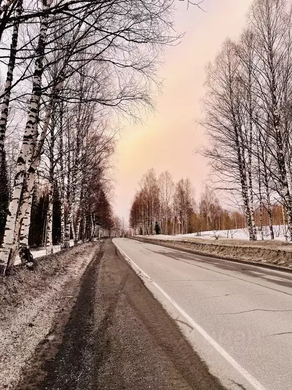 Участок в Кемеровская область, Таштагольский район, Шерегешское ... - Фото 0