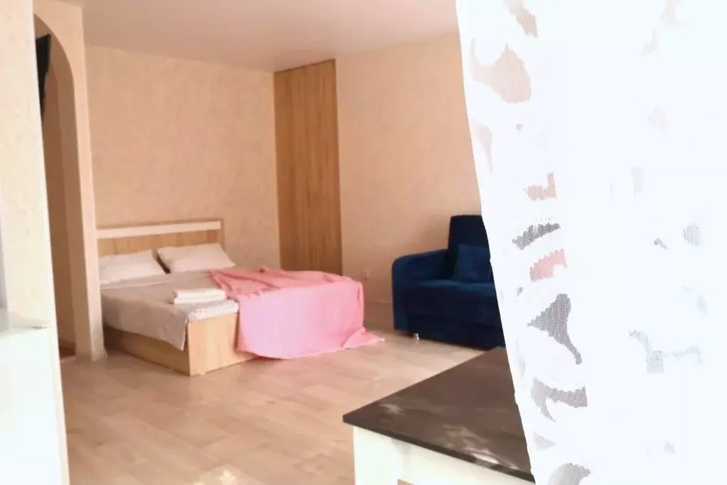 Студия Омская область, Омск просп. Карла Маркса, 10А (42.0 м) - Фото 2