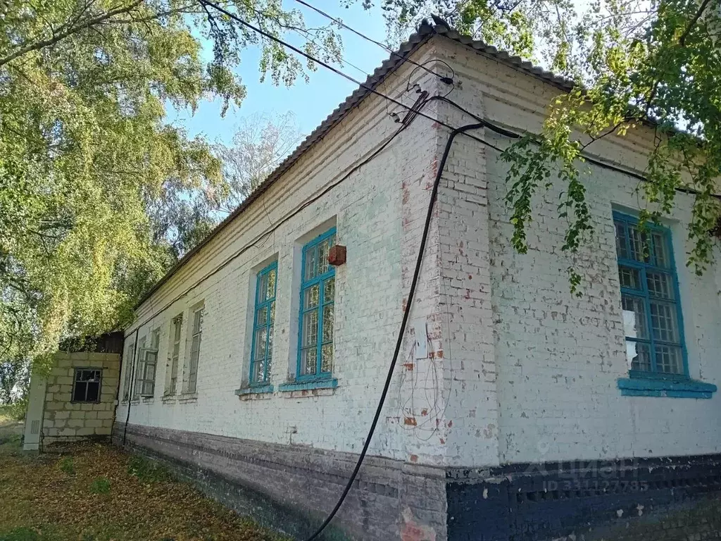Помещение свободного назначения в Белгородская область, Шебекинский ... - Фото 1
