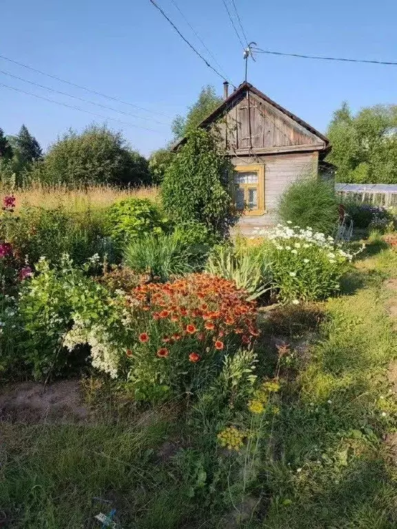 Участок в Кировская область, Киров  (6.6 сот.) - Фото 2