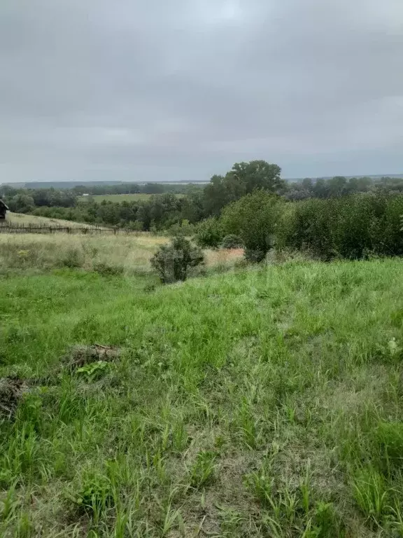 Участок в Башкортостан, Уфа ВНЗМ СДТ, 125 (8.0 сот.) - Фото 1