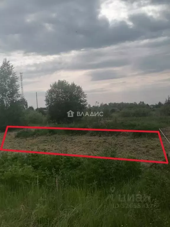 Участок в Ивановская область, Фурманов Энтузиастов мкр, 25 (8.0 сот.) - Фото 1