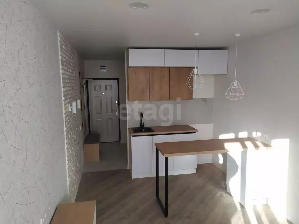 Студия Алтайский край, Барнаул Песчаная ул., 190 (24.3 м) - Фото 1