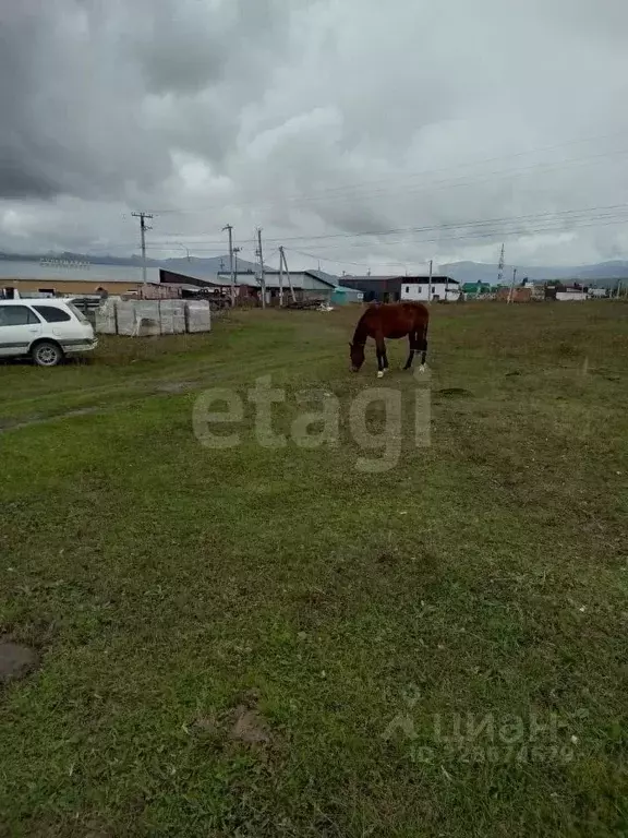 Участок в Алтай, Усть-Коксинский район, с. Усть-Кокса Советская ул. ... - Фото 1