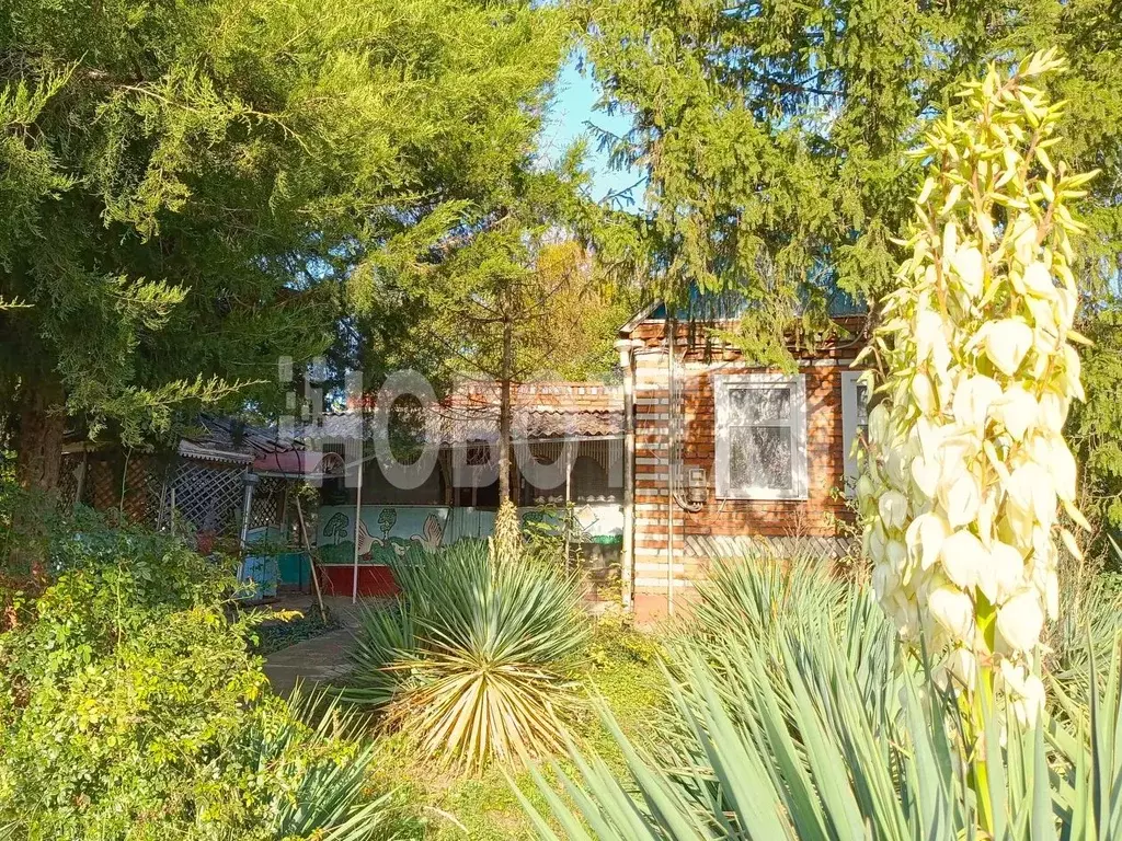 Дом в Краснодарский край, Апшеронский район, Кубанское с/пос, с. ... - Фото 1