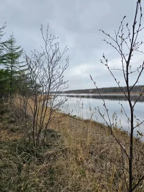 Участок в Сахалинская область, Анивский городской округ, с. Песчанское ... - Фото 0