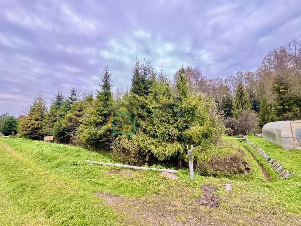 Участок в Ленинградская область, Выборгский район, Первомайское с/пос, ... - Фото 1