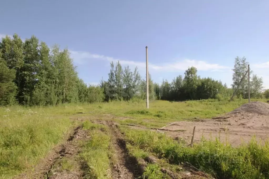 Участок в Вологодская область, Шекснинский муниципальный округ, ... - Фото 1