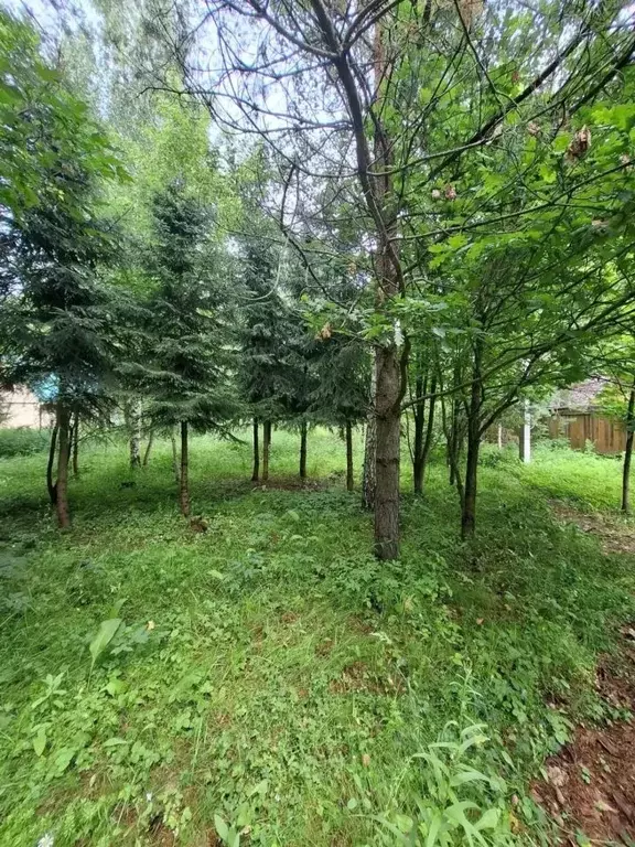 Участок в Московская область, Одинцовский городской округ, Фортуна СНТ ... - Фото 2