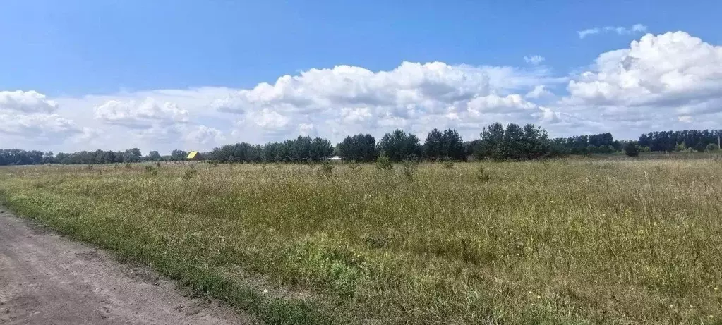 Участок в Новосибирская область, Ордынский район, Благодатное-2 ДНТ  ... - Фото 2
