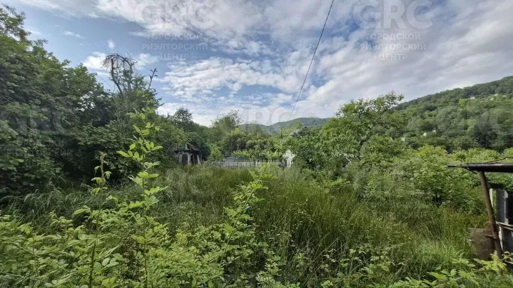 Участок в Краснодарский край, Сочи городской округ, с. Верхний Юрт ул. ... - Фото 2