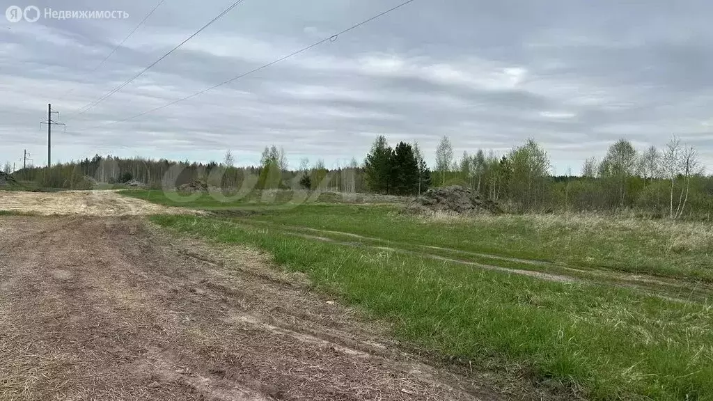 Участок в Свердловская область, Тугулымский муниципальный округ, ... - Фото 0