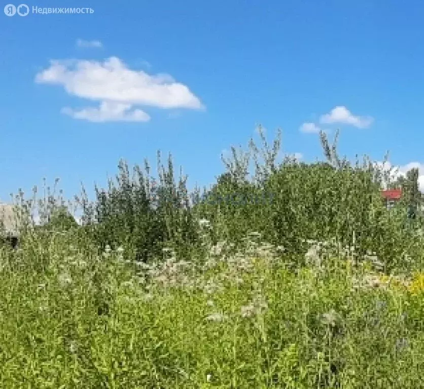Участок в Нижегородская область, муниципальный округ Семёновский, ... - Фото 1