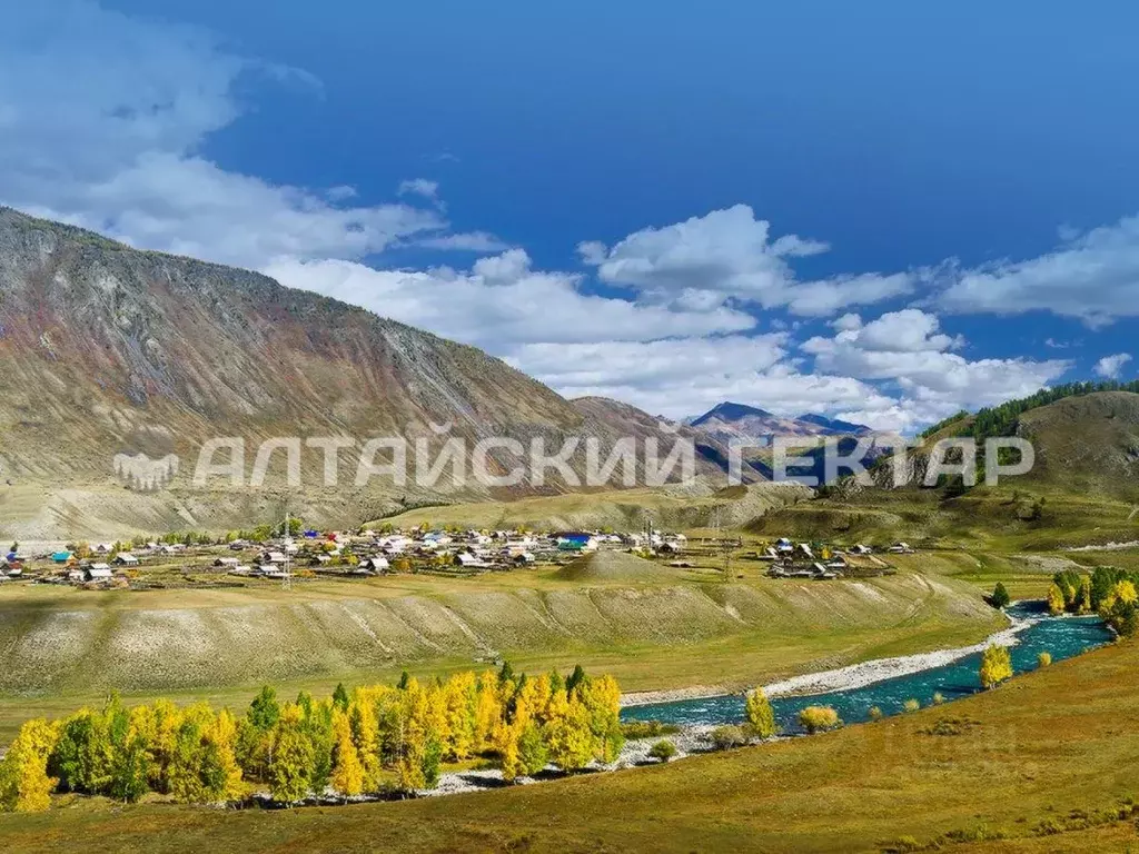 Участок в Алтай, Усть-Коксинский район, с. Мульта ул. Садовая, 14 ... - Фото 1