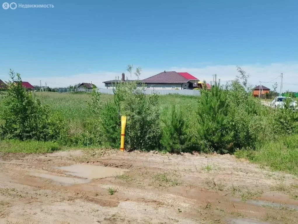 Участок в Тюменский район, деревня Криводанова, улица Ломоносова (10 ... - Фото 1