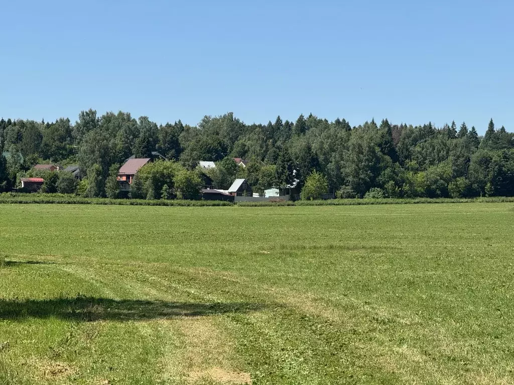 Участок в Московская область, Пушкинский городской округ, д. Василево  ... - Фото 0