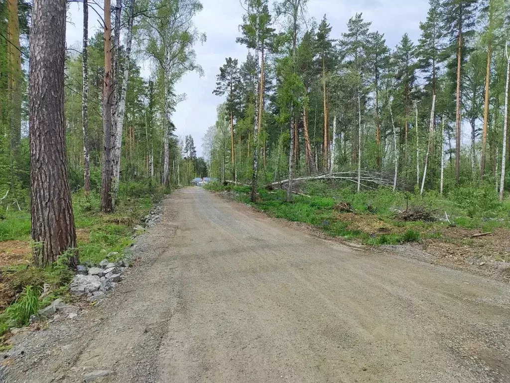 Участок в Свердловская область, Полевской городской округ, с. ... - Фото 1