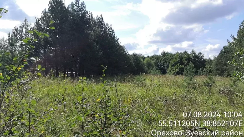 Участок в Московская область, Орехово-Зуевский городской округ, д. ... - Фото 1