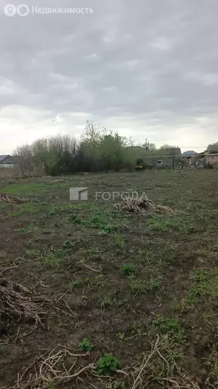Участок в село Толмачёво, Берёзовая улица (755 м) - Фото 1