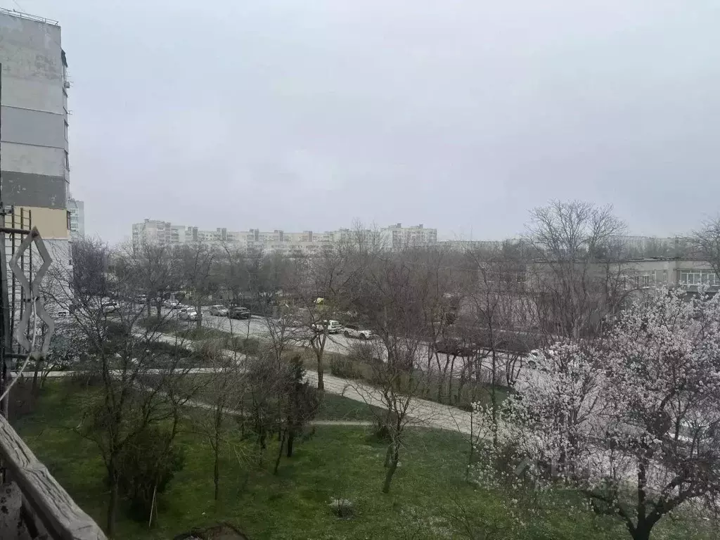 Студия Крым, Евпатория ул. 9 Мая, 82 (36.8 м) - Фото 2