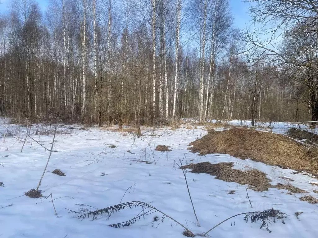 Участок, 15 сот., поселения (ижс) - Фото 1