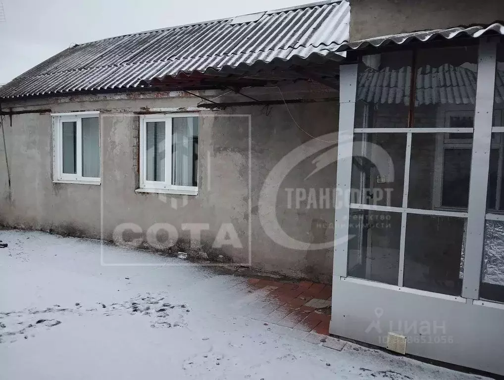 Дом в Воронежская область, с. Новая Усмань ул. Алексеевского, 94 (35 ... - Фото 0