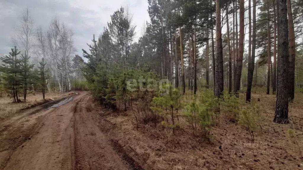 Участок в Забайкальский край, Читинский район, с. Смоленка  (8.0 сот.) - Фото 1