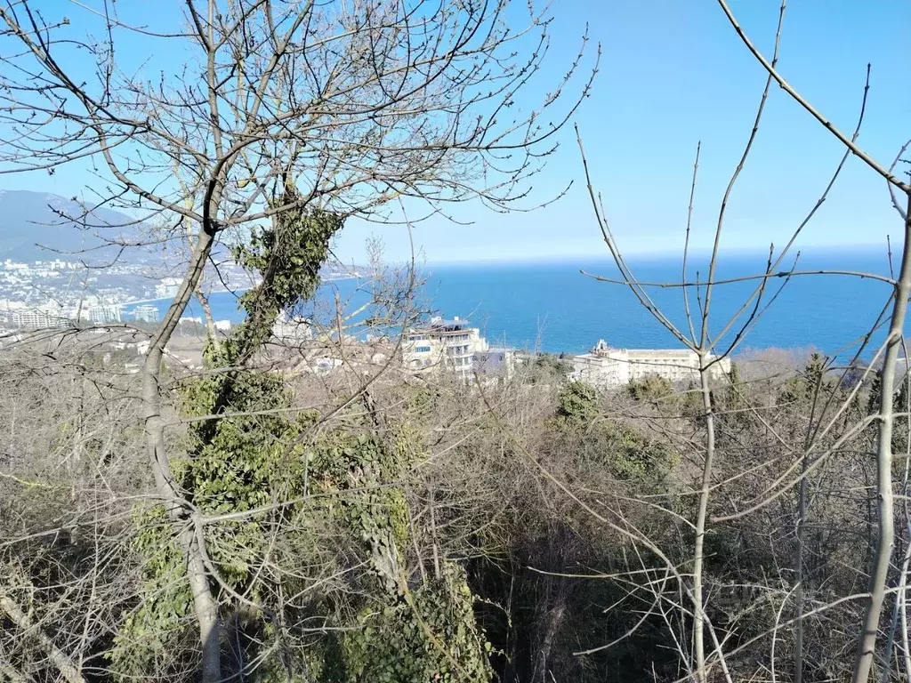 Участок в Крым, Ялта муниципальный округ, Ливадия пгт пер. ... - Фото 1