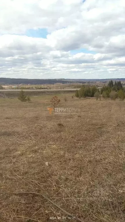 Участок в Пермский край, Пермский муниципальный округ, д. Большакино ... - Фото 2