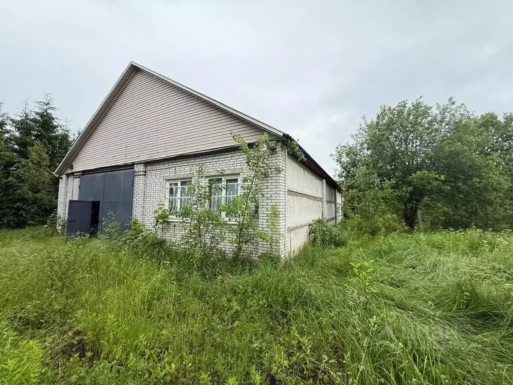 Участок в Ленинградская область, Ломоносовский район, Горбунковское ... - Фото 1