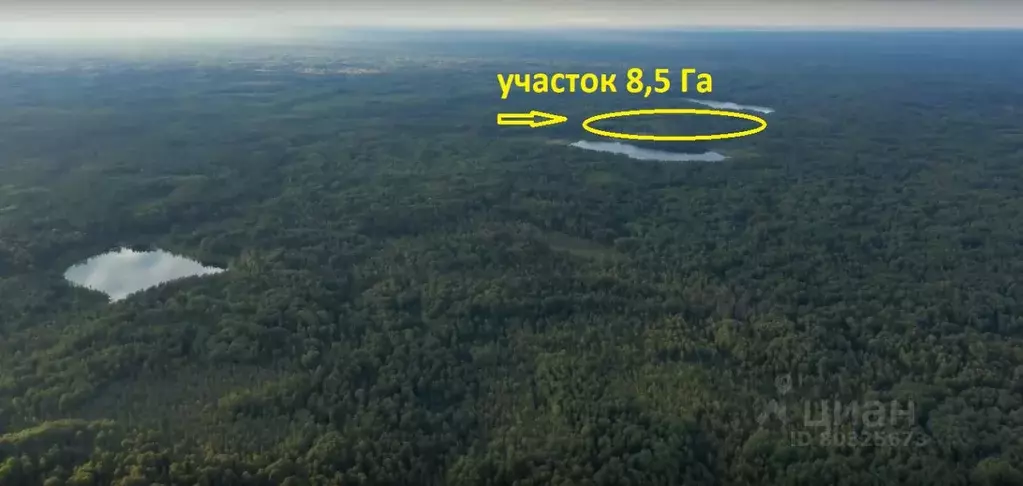 Участок в Тверская область, Осташковский муниципальный округ, д. ... - Фото 0