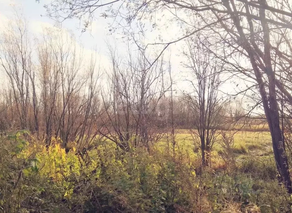 Участок в Архангельская область, Приморский муниципальный округ, д. ... - Фото 1