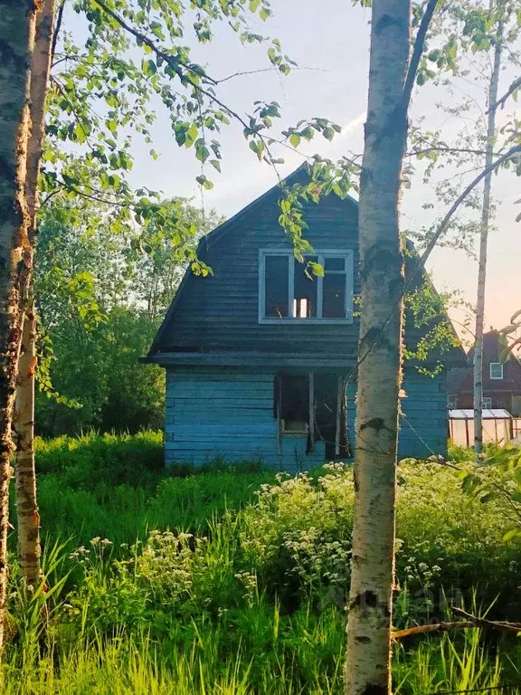 Участок в Ленинградская область, Тосненский район, Трубникоборское ... - Фото 1