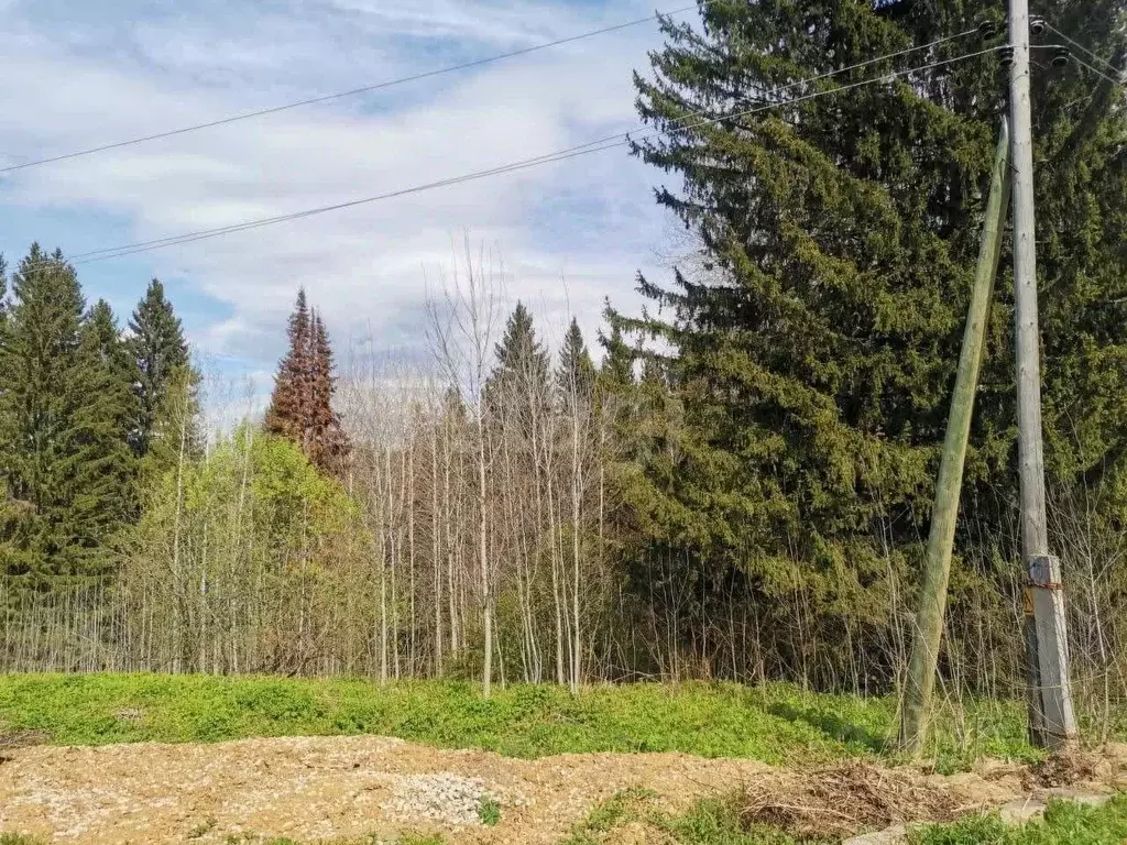 Участок в Пермский край, Чусовской муниципальный округ, д. Успенка  ... - Фото 2