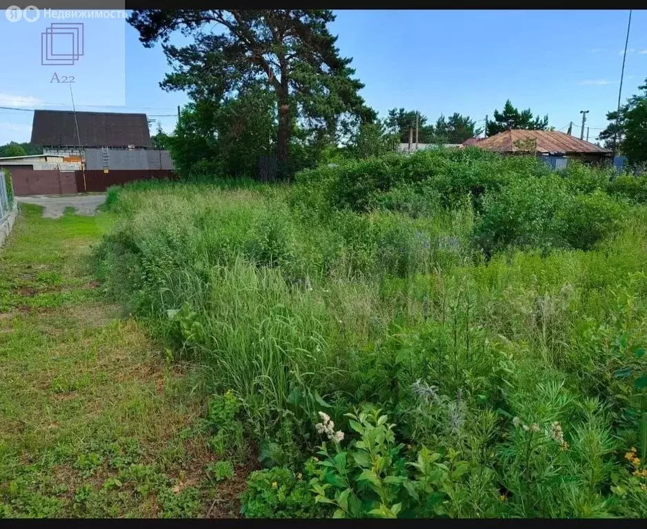 Участок в Алтайский край, городской округ Барнаул, станция Ползуново, ... - Фото 1