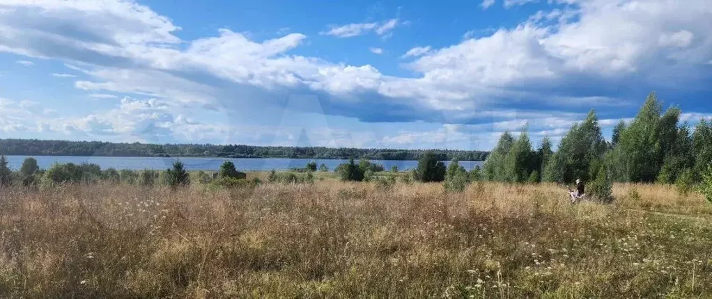 Участок в Пермский край, Пермский муниципальный округ, д. Заозерье ... - Фото 2
