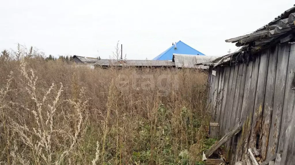 Участок в Свердловская область, Тугулымский муниципальный округ, с. ... - Фото 1