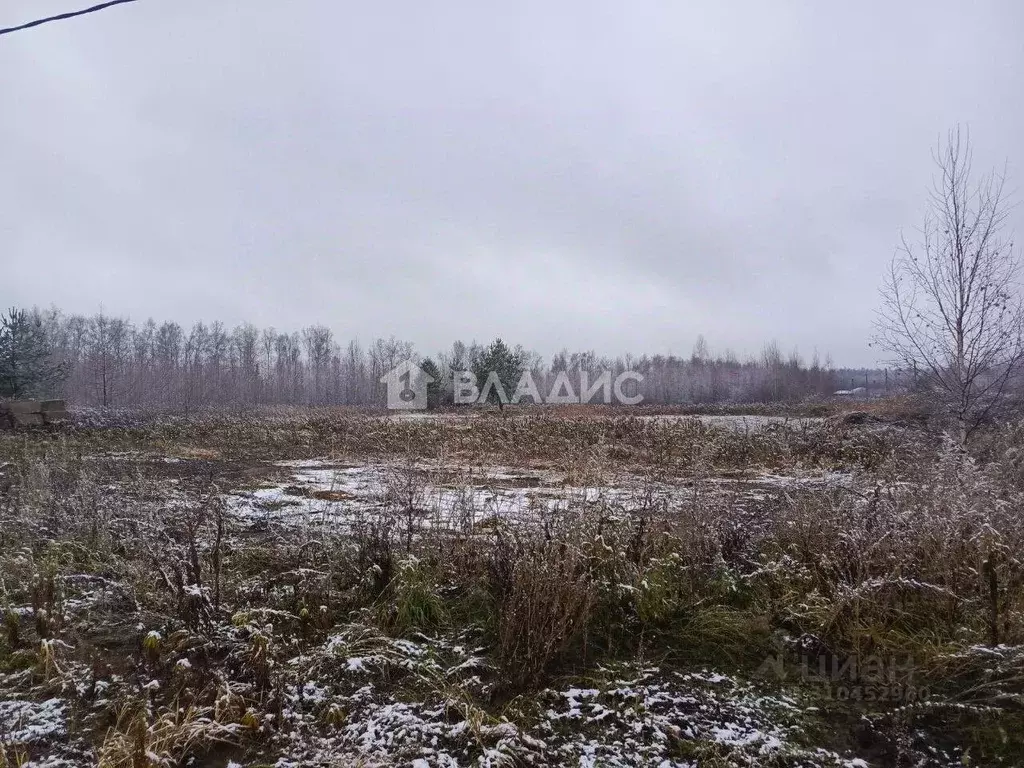 Участок в Нижегородская область, Кстовский муниципальный округ, с. ... - Фото 0