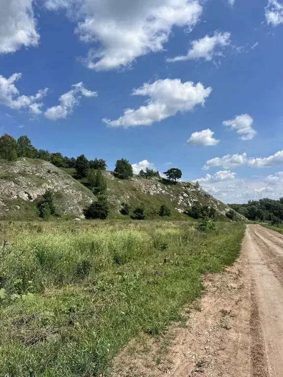 Участок в Башкортостан, Кармаскалинский район, Старомусинский ... - Фото 2