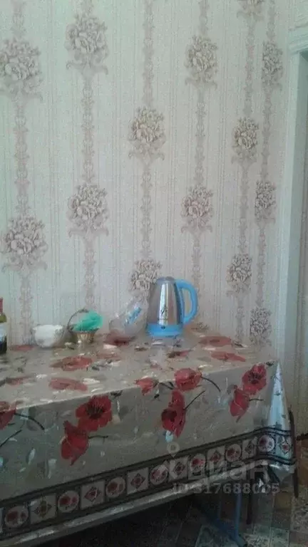1-к кв. Курганская область, Курган ул. Победы, 4 (31.0 м) - Фото 1